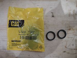 Caterpillar Seal - 1