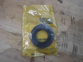 Caterpillar Seal #2