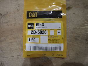 Caterpillar Ring - 1